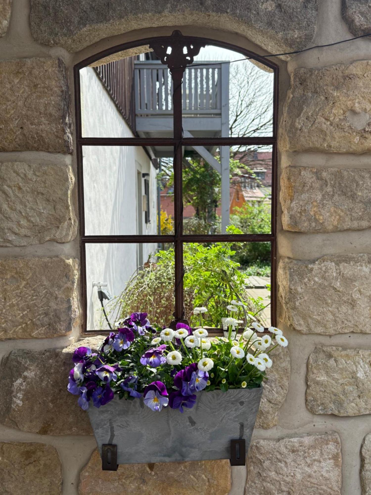 Landgut Mosch Appartement Radeburg Buitenkant foto